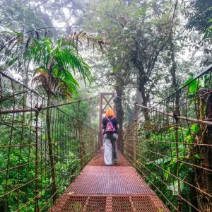 Explore Independent Costa Rica Wonders with Tortuguero for 9 days with Globus and discover unforgettable experiences - Photo 7