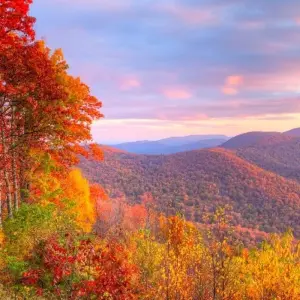 Explore America's Historic East for 9 days with Globus and discover unforgettable experiences - Photo 5