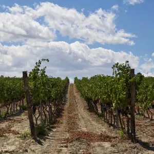 Explore Puglia Tour for 8 days with Go in Italy Ltd and discover unforgettable experiences - Photo 2