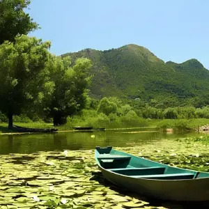 Explore Stand Up Paddle tour from Tirana Albania to Skadar Lake & Buna River for 1 days with Go as Local  and discover unforgettable experiences - Photo 2