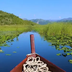 Explore Stand Up Paddle tour from Tirana Albania to Skadar Lake & Buna River for 1 days with Go as Local  and discover unforgettable experiences - Photo 3
