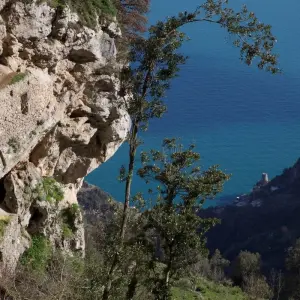 Explore Trekking of Amalfi Coast for 4 days with Go in Italy Ltd and discover unforgettable experiences - Photo 7