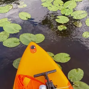Explore Stand Up Paddle tour from Tirana Albania to Skadar Lake & Buna River for 1 days with Go as Local  and discover unforgettable experiences - Photo 7