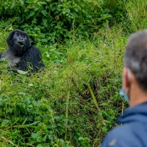 Explore 04 Days Unforgettable Rwanda Gorilla Trekking Journey for 4 days with GoExplore Safaris and discover unforgettable experiences - Photo 3
