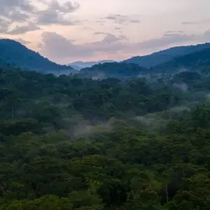Explore 10 Days The Very Best Of Uganda for 10 days with GoExplore Safaris and discover unforgettable experiences - Photo 4