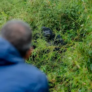 Explore 04 Days Unforgettable Rwanda Gorilla Trekking Journey for 4 days with GoExplore Safaris and discover unforgettable experiences - Photo 6