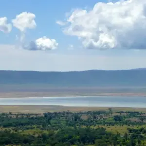 Explore 12 Days Honeymoon Tanzania and Zanzibar for 12 days with Golden world explore and discover unforgettable experiences - Photo 2