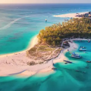 Explore 12 Days Honeymoon Tanzania and Zanzibar for 12 days with Golden world explore and discover unforgettable experiences - Photo 3
