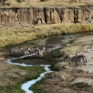 Explore 12 Days Honeymoon Tanzania and Zanzibar for 12 days with Golden world explore and discover unforgettable experiences - Photo 7