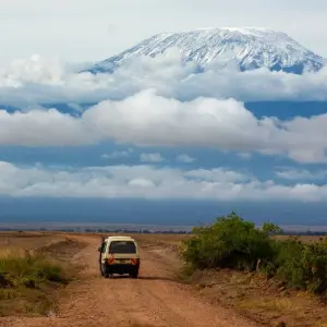 Explore 9 Days 8 Nights Private Safari Kenya Tanzania Mid Range Safari for 9 days with Golden world explore and discover unforgettable experiences - Photo 9