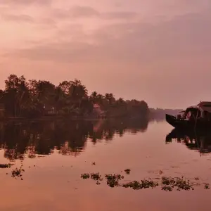 Explore Luxury Kerala Tour 8 Days for 8 days with Golden Triangle India Tours and discover unforgettable experiences - Photo 5