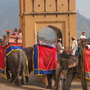 Explore Luxury India Tour for 10 Days for 10 days with Golden Triangle India Tours and discover unforgettable experiences - Photo 6