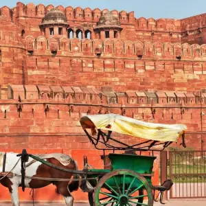 Explore Luxury India With Taj Mahal and Ranthambore Wildlife Tour for 14 days with Golden Triangle India Tours and discover unforgettable experiences - Photo 3