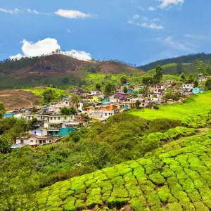 Explore Luxury Kerala Tour 8 Days for 8 days with Golden Triangle India Tours and discover unforgettable experiences - Photo 8