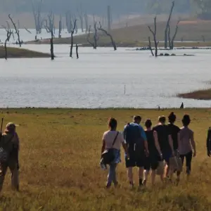 Explore Luxury Kerala Tour 8 Days for 8 days with Golden Triangle India Tours and discover unforgettable experiences - Photo 10