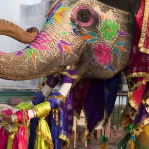 Explore Luxury Golden Triangle from Mumbai for 10 days with Golden Triangle India Tours and discover unforgettable experiences - Photo 3