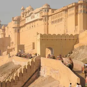 Explore Luxury India With Taj Mahal and Ranthambore Wildlife Tour for 14 days with Golden Triangle India Tours and discover unforgettable experiences - Photo 7