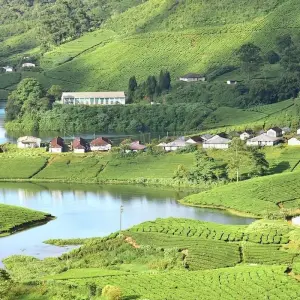 Explore Luxury Kerala Tour 8 Days for 8 days with Golden Triangle India Tours and discover unforgettable experiences - Photo 11