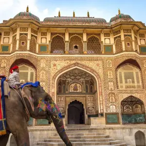 Explore Luxury India With Taj Mahal and Ranthambore Wildlife Tour for 14 days with Golden Triangle India Tours and discover unforgettable experiences - Photo 8