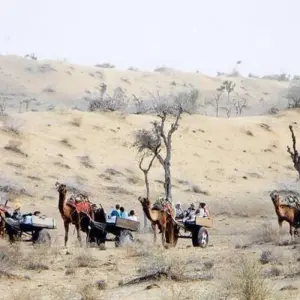 Explore Luxury Rajasthan Intro for 13 days with Golden Triangle India Tours and discover unforgettable experiences - Photo 5