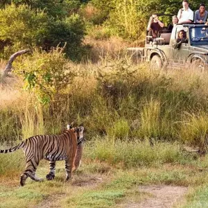 Explore Luxury India With Taj Mahal and Ranthambore Wildlife Tour for 14 days with Golden Triangle India Tours and discover unforgettable experiences - Photo 11