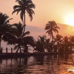 Explore Luxury North India with Kerala Tour for 19 days with Golden Triangle India Tours and discover unforgettable experiences - Photo 10