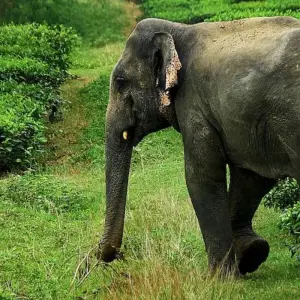 Explore Luxury India and Nepal Trails for 17 days with Golden Triangle India Tours and discover unforgettable experiences - Photo 2