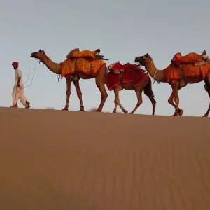 Explore Luxury India Highlights Tour for 14 days with Golden Triangle India Tours and discover unforgettable experiences - Photo 10