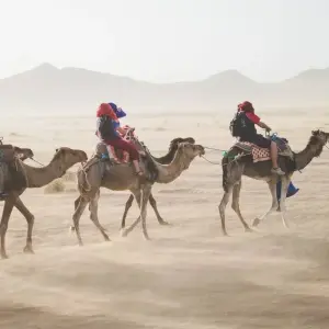 Explore Luxury Rajasthan with Agra for 17 days with Golden Triangle India Tours and discover unforgettable experiences - Photo 10
