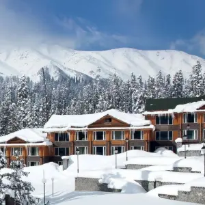 Explore Exotic Kashmir for 6 days with Golden Triangle India Tours and discover unforgettable experiences - Photo 8