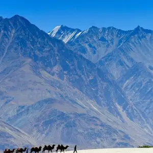 Explore Leh Ladakh Tour - 8 Days for 8 days with Golden Triangle India Tours and discover unforgettable experiences - Photo 5