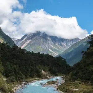 Explore North East India Tour for 11 days with Golden Triangle India Tours and discover unforgettable experiences - Photo 3