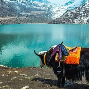Explore North East India Tour for 11 days with Golden Triangle India Tours and discover unforgettable experiences - Photo 4