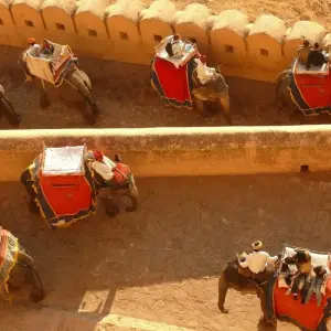 Explore North East with Golden Triangle Tour for 13 days with Golden Triangle India Tours and discover unforgettable experiences - Photo 5