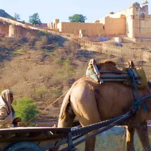 Explore Luxury Golden Triangle Tour India for 6 days with Golden Triangle India Tours and discover unforgettable experiences - Photo 3
