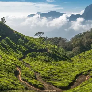 Explore North East India Tour for 11 days with Golden Triangle India Tours and discover unforgettable experiences - Photo 8