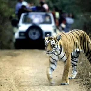 Explore Luxury Golden Triangle with Ranthambore Tour for 9 days with Golden Triangle India Tours and discover unforgettable experiences - Photo 11