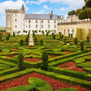 Explore Loire Valley by bike - Guided cycling tour for 8 days with Grand Angle  and discover unforgettable experiences - Photo 7