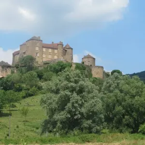 Explore Burgundy by bike:  Grand cru and Romanesque art - Guided cycling tour for 8 days with Grand Angle  and discover unforgettable experiences - Photo 9