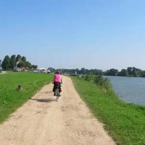 Explore Burgundy by bike:  Grand cru and Romanesque art - Guided cycling tour for 8 days with Grand Angle  and discover unforgettable experiences - Photo 10