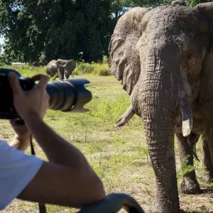 Explore 7days Amboseli, Lake Naivasha, Hell's Gate, Lake Nakuru, Aberdare & Solio Luxury Safari for 7 days with Gracepatt Ecotours Kenya and discover unforgettable experiences - Photo 2