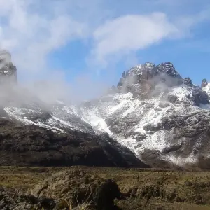 Explore Mount Kenya National Park Full-Day Hike for 1 days with Gracepatt Ecotours Kenya and discover unforgettable experiences - Photo 5