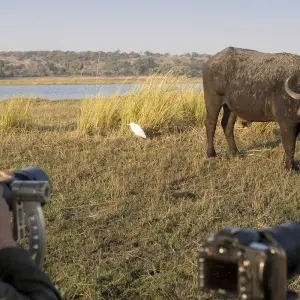 Explore 7days Amboseli, Lake Naivasha, Hell's Gate, Lake Nakuru, Aberdare & Solio Luxury Safari for 7 days with Gracepatt Ecotours Kenya and discover unforgettable experiences - Photo 5