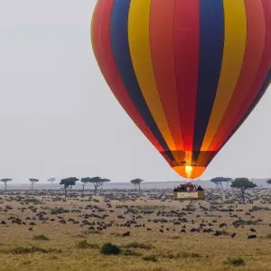 Explore 4 Days Masai Mara and Lake Nakuru Budget Safari on 4x4 Land Cruiser Jeep for 4 days with Gracepatt Ecotours Kenya and discover unforgettable experiences - Photo 7