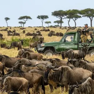 Explore 8 Days Amboseli, Lake Nakuru, Naivasha & Masai Mara Wildlife Safari for 8 days with Gracepatt Ecotours Kenya and discover unforgettable experiences - Photo 3