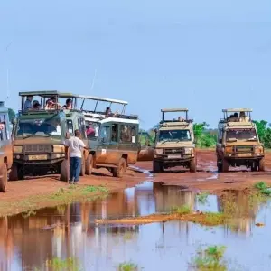 Explore 4 Days Masai Mara and Lake Nakuru Budget Safari on 4x4 Land Cruiser Jeep for 4 days with Gracepatt Ecotours Kenya and discover unforgettable experiences - Photo 9
