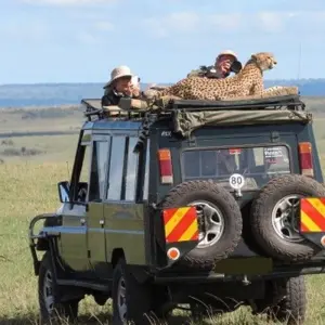 Explore 9Days Aberdare, Lake Nakuru, Masai Mara, lake Naivasha & Amboseli safari for 9 days with Gracepatt Ecotours Kenya and discover unforgettable experiences - Photo 5