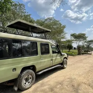Explore 9Days Aberdare, Lake Nakuru, Masai Mara, lake Naivasha & Amboseli safari for 9 days with Gracepatt Ecotours Kenya and discover unforgettable experiences - Photo 8