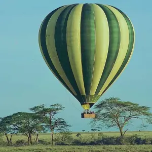 Explore 9Days Aberdare, Lake Nakuru, Masai Mara, lake Naivasha & Amboseli safari for 9 days with Gracepatt Ecotours Kenya and discover unforgettable experiences - Photo 10