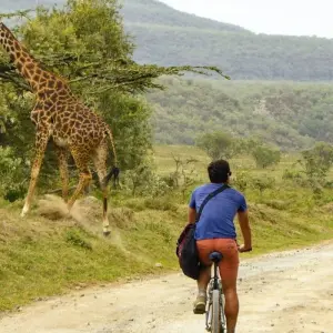 Explore 12 Days Best of Kenya and Tanzania Camping Safari for 12 days with Gracepatt Ecotours Kenya and discover unforgettable experiences - Photo 2